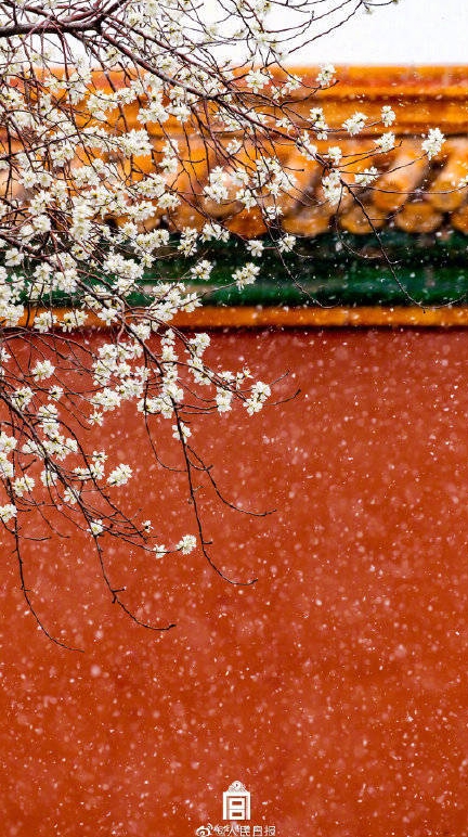 北京に春の雪！美しくも幻想的な故宮と春の花