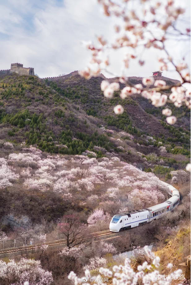 【音聲ニュース】美しい景色が人気、「春に向かう列車」S2線が1日7往復運行へ