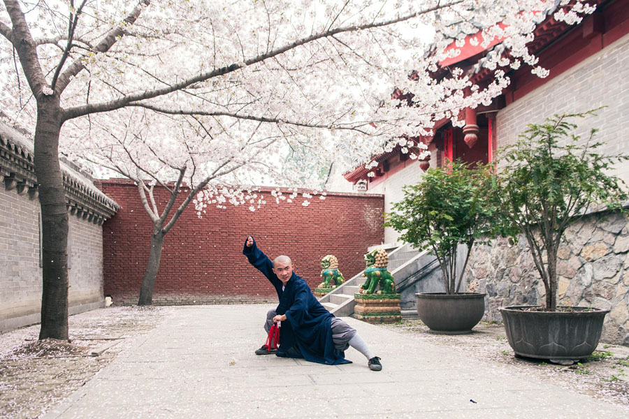 桜の木の下で武術(shù)の鍛錬に勵(lì)む修行僧（寫真著作権はCFP視覚中國(guó)が所有のため転載禁止）。