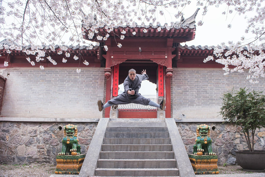 嵩山少林寺の桜が満開に　河南省