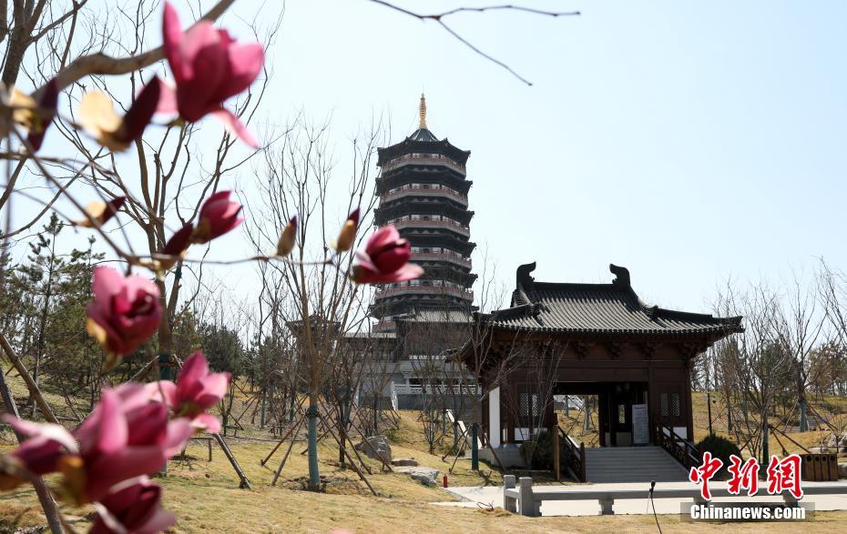 若者の「未來(lái)都市」への定住促す「スマート遺伝子」　雄安新區(qū)