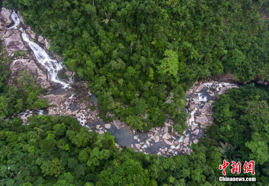 上空から撮影した吊羅山雨林渓流（撮影?駱雲(yún)飛）。