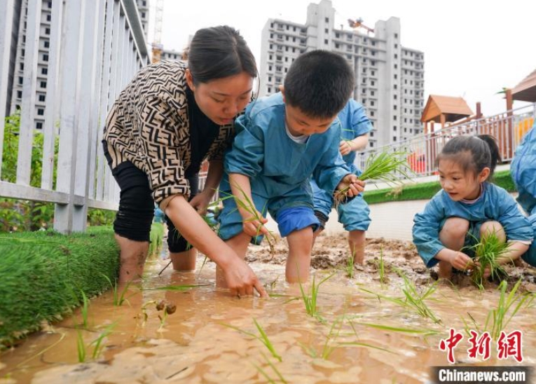 田植えの季節(jié)がやって來た！園児たちが田植えを體験　江西省新余