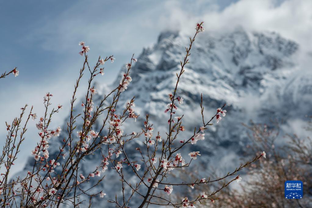 波密に広がる美しい風(fēng)景　チベット