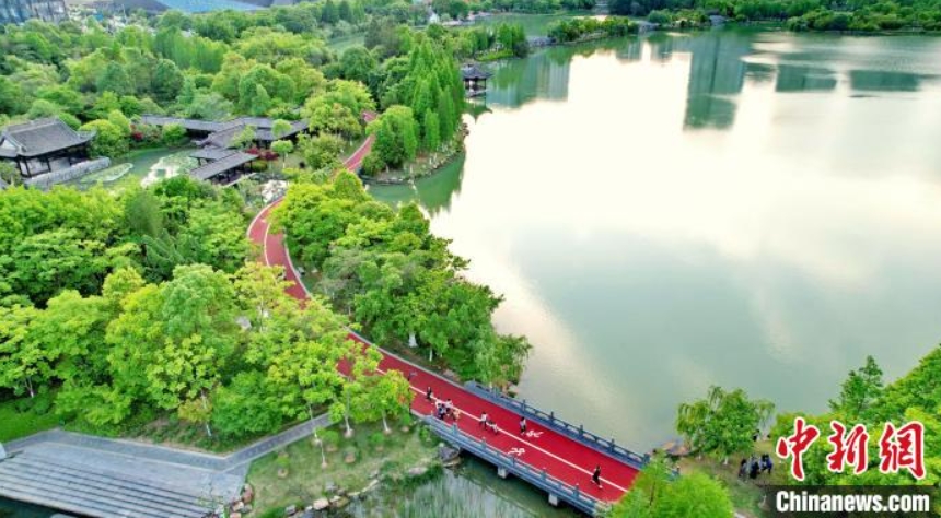 木々が生い茂った自然豊かな濕地公園（ドローンによる撮影?朱海鵬）。