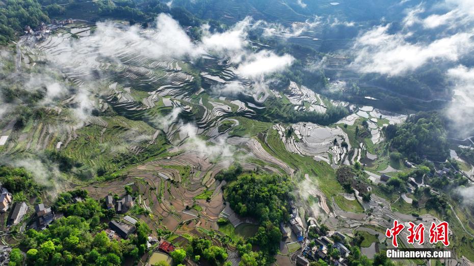 朝霧に包まれた美しい棚田　重慶市酉陽