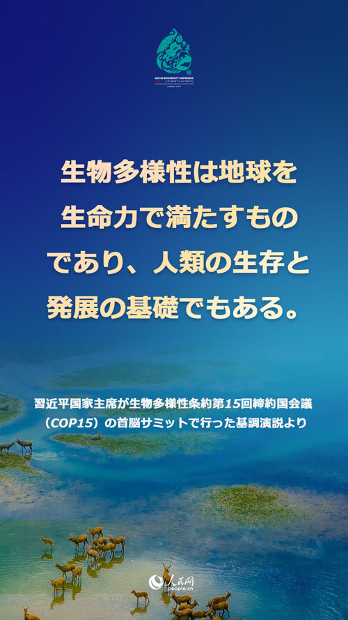 習(xí)近平國(guó)家主席「CO2排出量ピークアウト、カーボンニュートラル『1+N』政策システムを構(gòu)築」