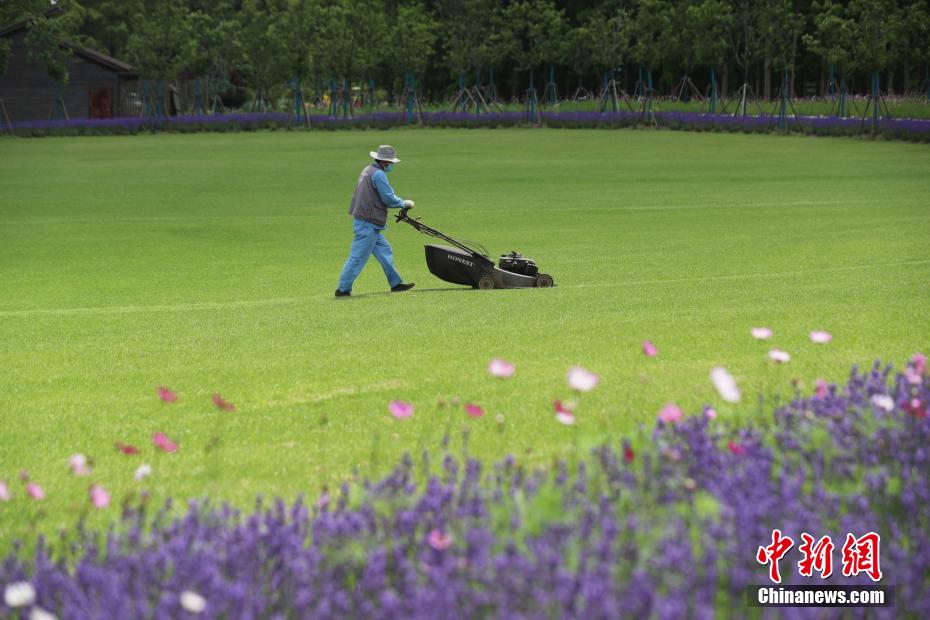 営業(yè)再開に向け準備を進める上海世紀公園