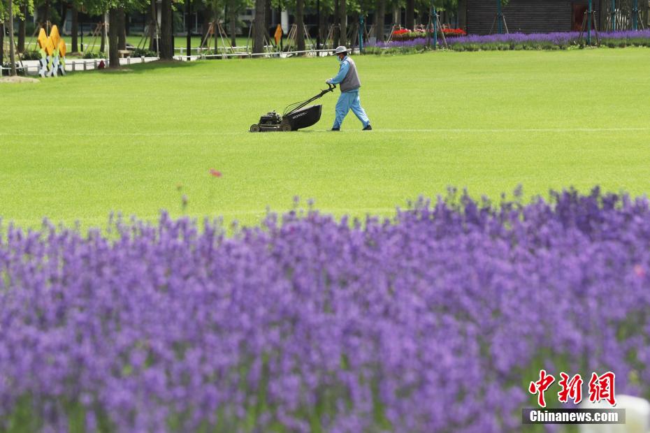 営業(yè)再開(kāi)に向け準(zhǔn)備を進(jìn)める上海世紀(jì)公園