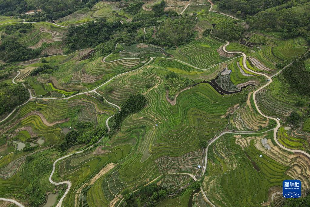 上空から眺めた緑豊かな五指山　海南省