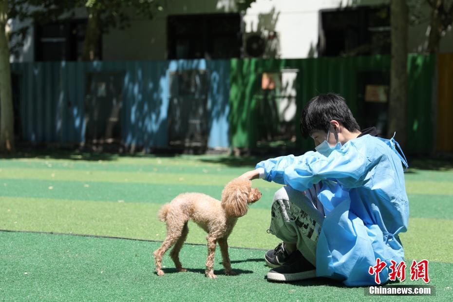 屋外で飼い犬の遊び相手をするスタッフ（5月26日撮影?蔣敬明）。