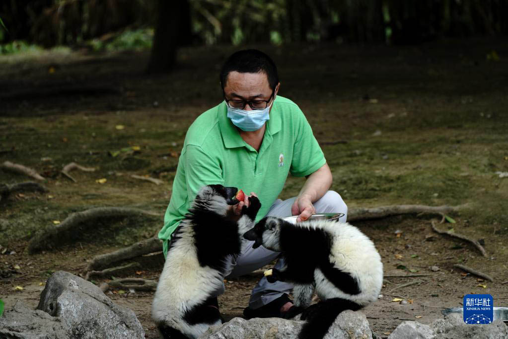 上海動物園が約2ヶ月半ぶりに再開