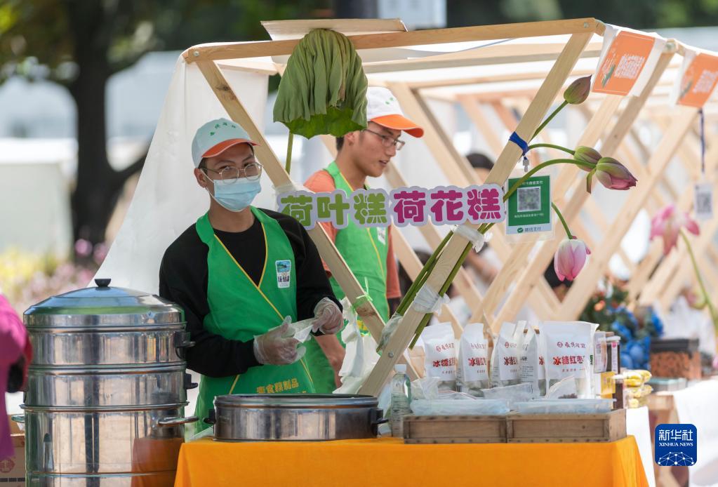 観光客を魅了するハスの花展　雲(yún)南省昆明