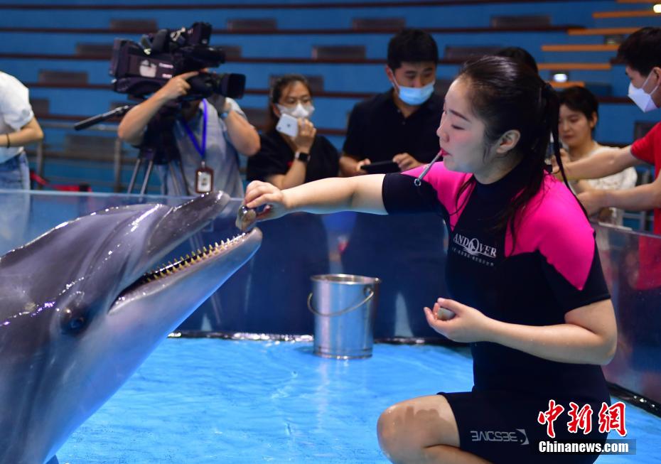 ゼリーにスイカに氷まで！安徽省合肥の水族館の暑さ対策とは？