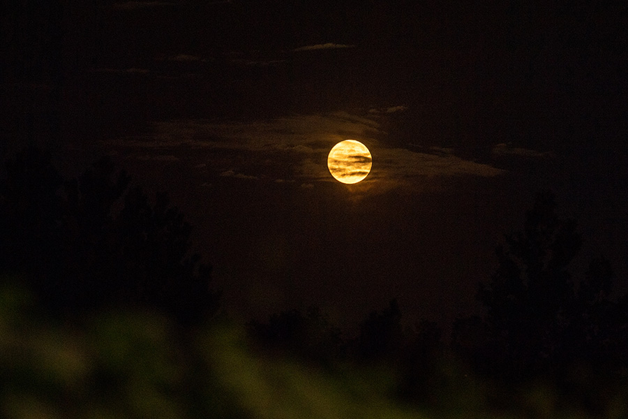 7月13日夜、薄雲(yún)に覆われたスーパームーン（撮影?翁奇羽）。