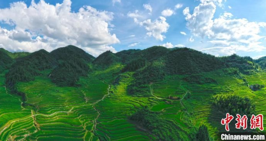 上空から撮影した高山の棚田　江西省遂川