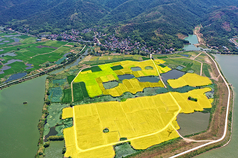 カラフルな田園地?。ù橛?魯君元）。