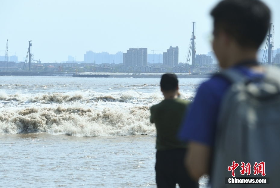 壯観！銭塘江の「鬼王潮」　浙江省嘉興