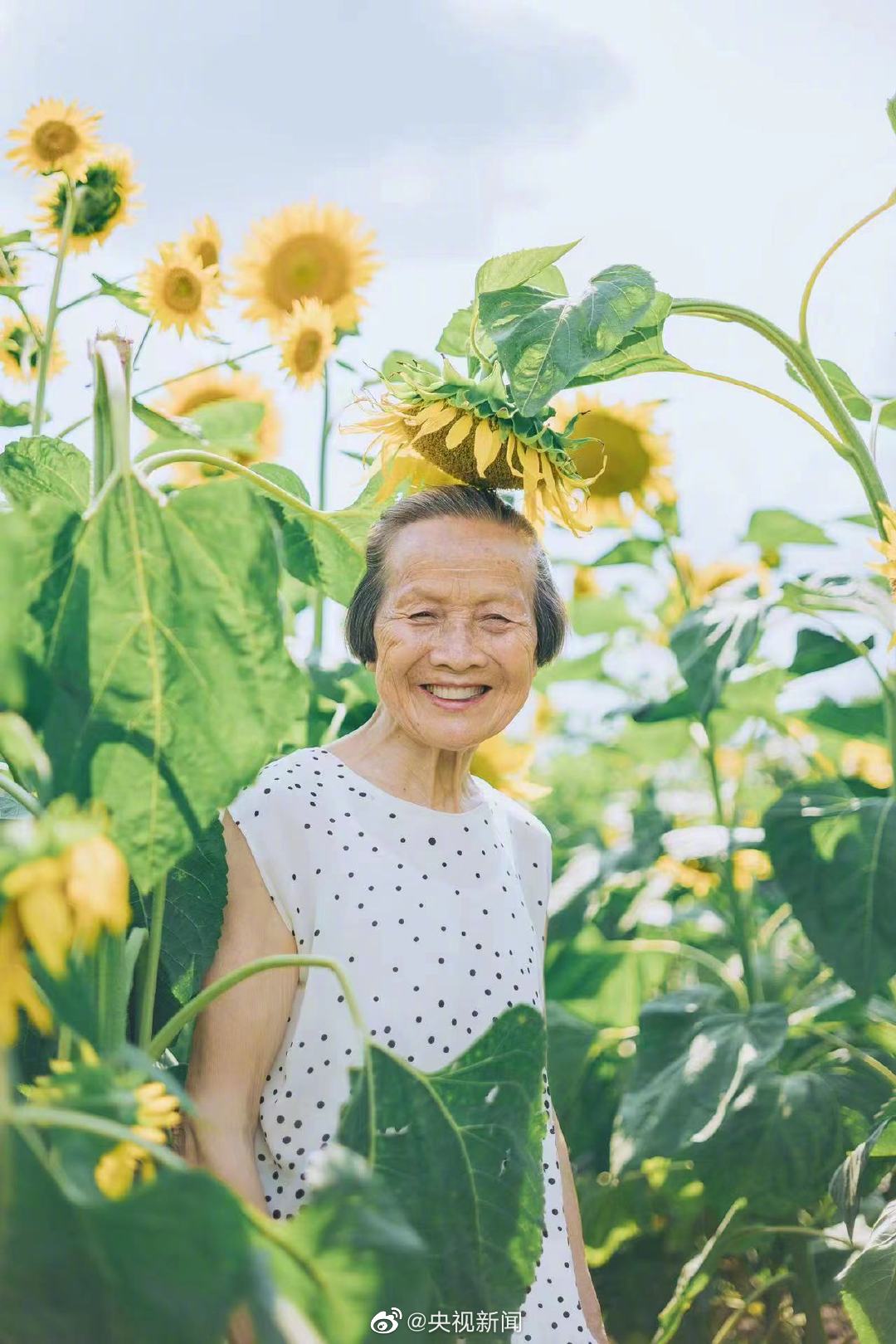 孫娘が撮影した80歳おばあちゃんの「癒し系寫真」