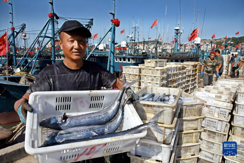 大漁だ！秋の漁解禁で魚を満載した船が続々帰港　山東省青島