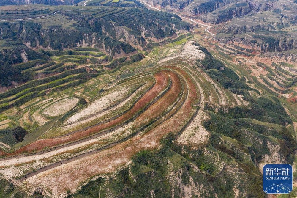 キヌアの豊作で豊かになった農(nóng)民　山西省