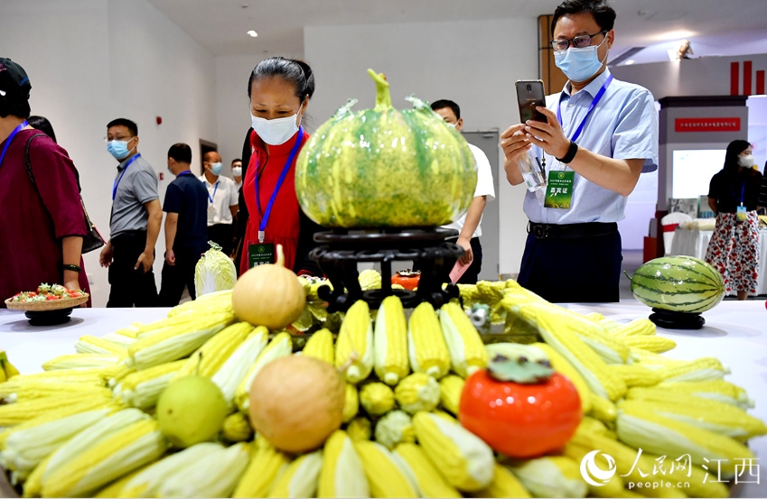 人々の注目を集めた陶器製のリアルな野菜や果物（撮影?時(shí)雨）。