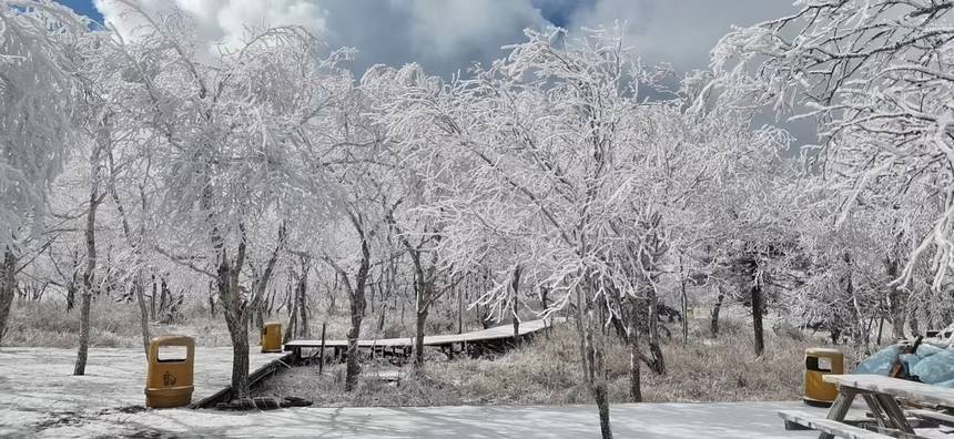 木々の梢にも美しく雪化粧　黒竜江?鳳凰山に初雪