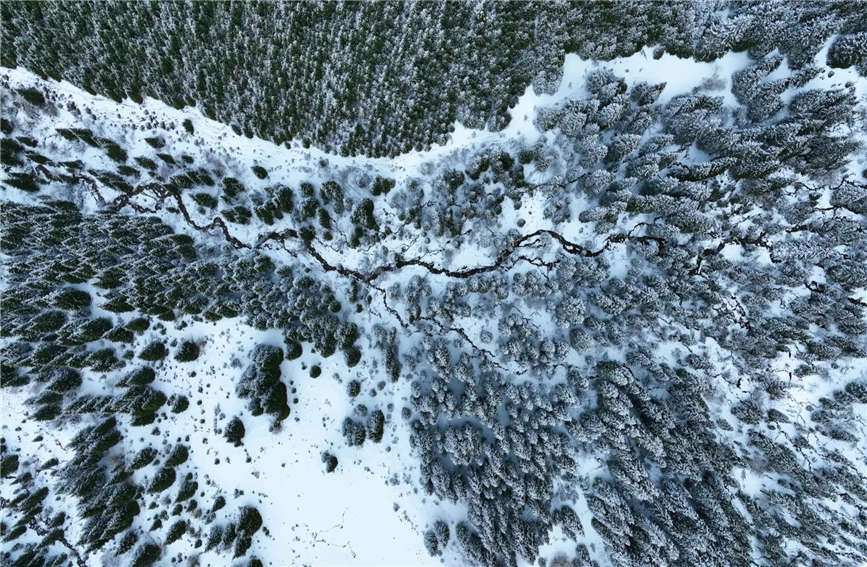 詩(shī)情あふれる水墨畫(huà)のような雪景色　新疆