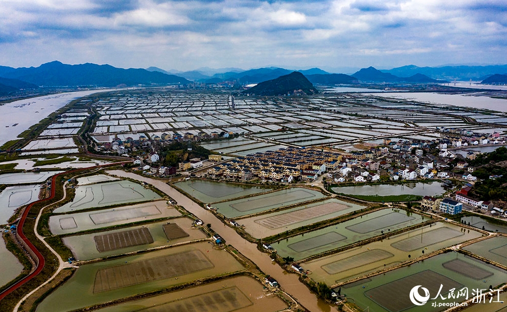 美しく広大な養(yǎng)殖池広がる浙江省臺州