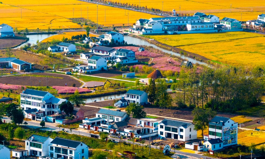 まるで秋を描いた絵畫のような江蘇省淮安の美しい田園風(fēng)景