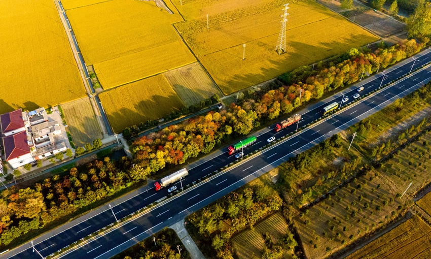 まるで秋を描いた絵畫のような江蘇省淮安の美しい田園風(fēng)景