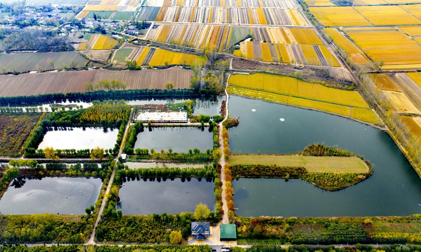 まるで秋を描いた絵畫(huà)のような江蘇省淮安の美しい田園風(fēng)景