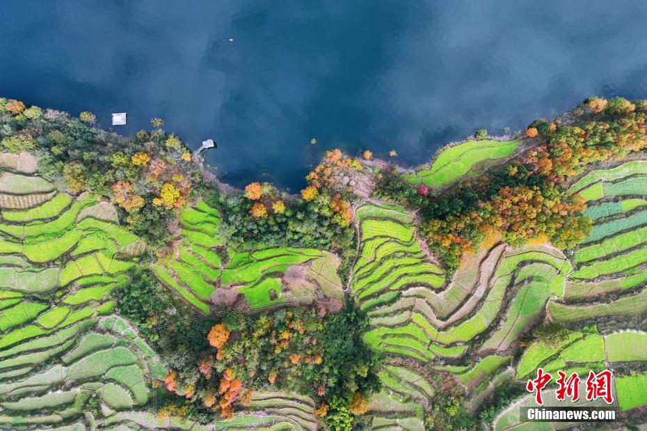 訪れる人々を魅了する白竜湖の風(fēng)景　四川省広元