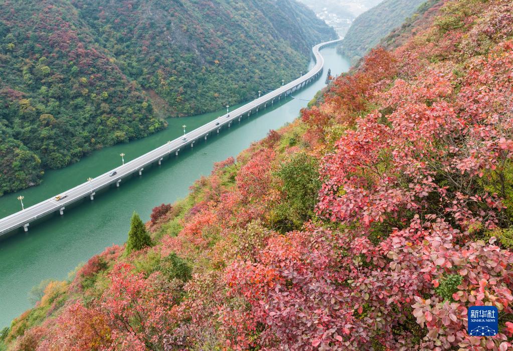 三峽ダム地區(qū)にある湖北省宜昌市興山県の「水上高速道路」を走行する車両（11月27日撮影?鄭家裕）。