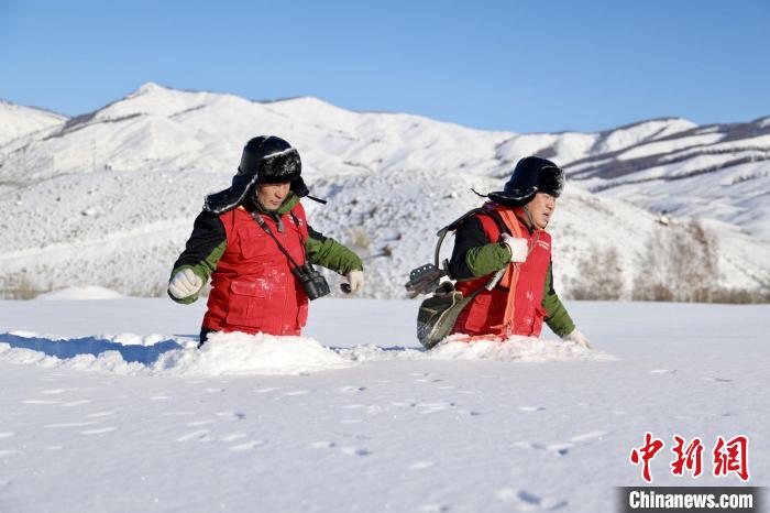 雪上を歩いて電線を點(diǎn)検する禾木供電所の職員（撮影?努爾別克）。