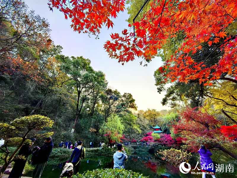 「霜葉は二月の花よりも紅なり」の愛晩亭に広がる絶景　湖南省長(zhǎng)沙