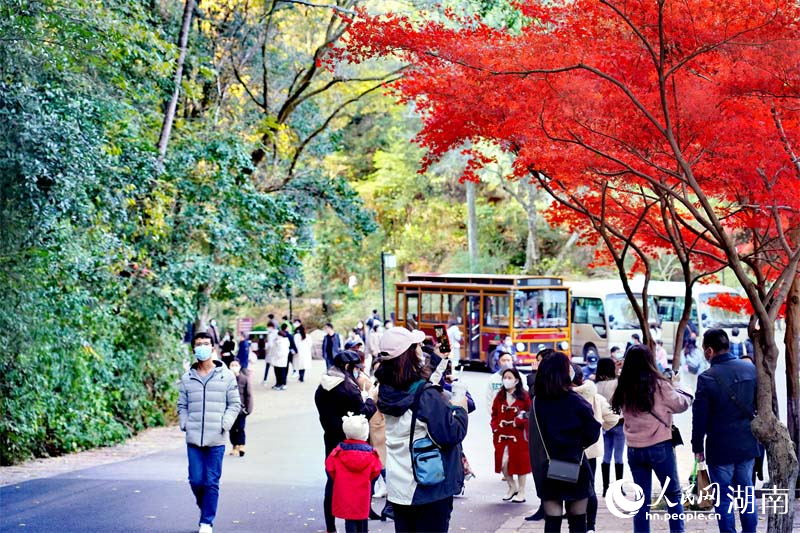 「霜葉は二月の花よりも紅なり」の愛晩亭に広がる絶景　湖南省長(zhǎng)沙