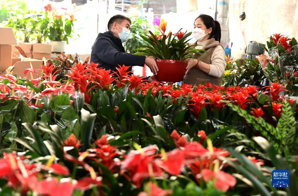 年の瀬迎え各地で花が人気に