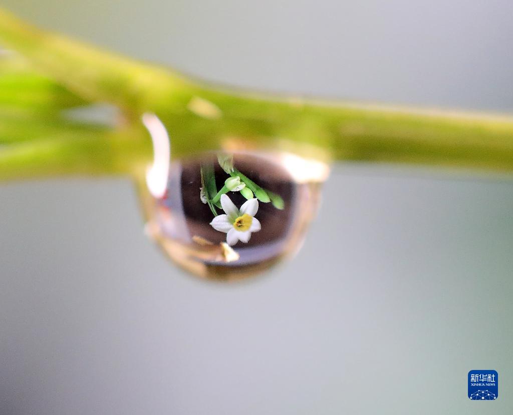 二十四節(jié)気の「小寒」迎えた中國全土