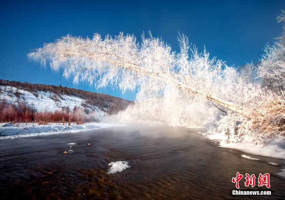 川に覆いかぶさるように伸びた樹木にびっしりと咲いた「氷の花」（撮影?田雲(yún)祥）。