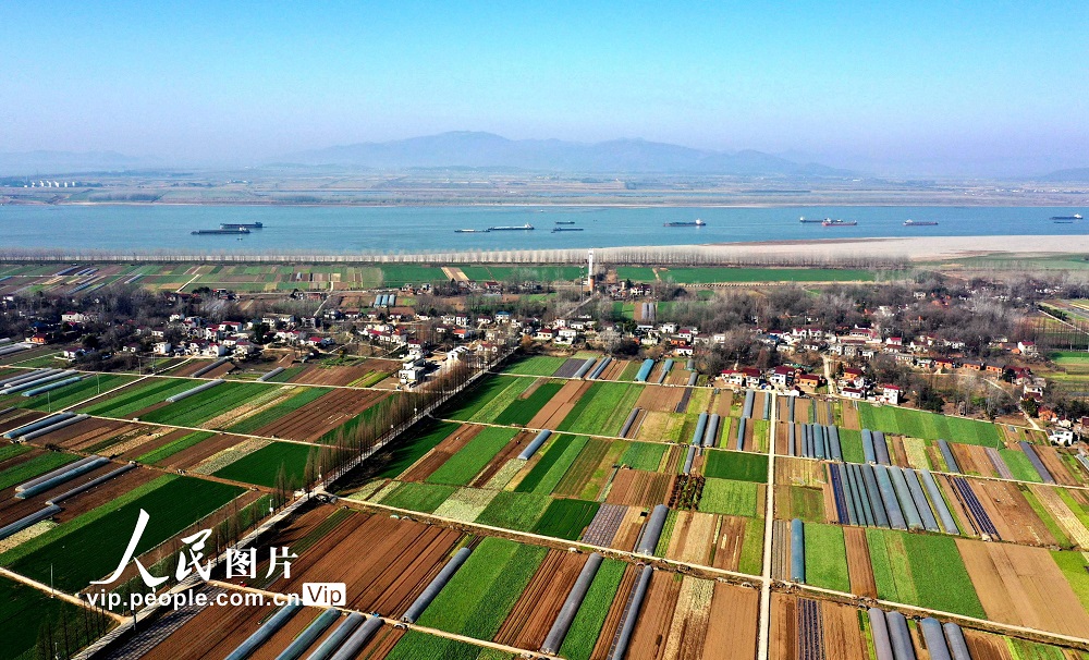 早春の麗しい農(nóng)村風(fēng)景　安徽省銅陵