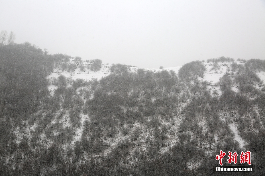 甘粛省各地で春節(jié)後の初雪　水墨畫のような絶景広がる