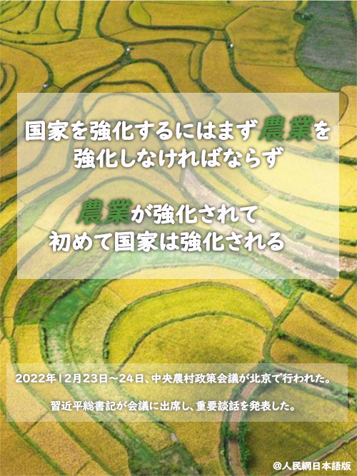 農(nóng)村振興を全面的に推進、農(nóng)業(yè)強國の建設(shè)を加速