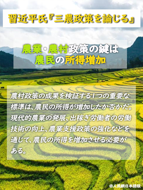 【習(xí)近平氏『三農(nóng)政策を論じる』】農(nóng)業(yè)?農(nóng)村政策の鍵は農(nóng)民の所得増加