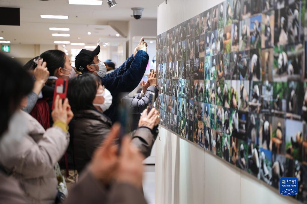 東京上野の百貨店でパンダの寫真展が開(kāi)幕　日本