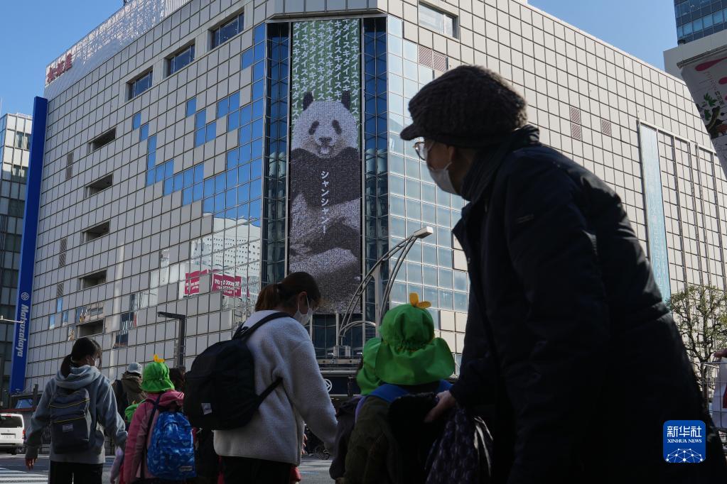 東京上野の百貨店でパンダの寫真展が開幕　日本