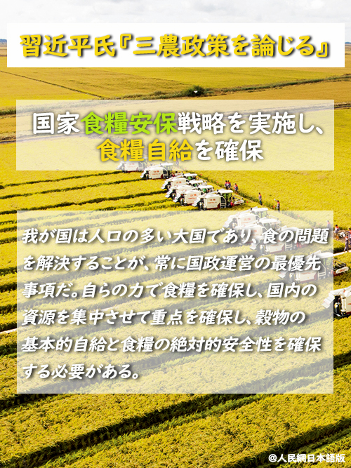 【習(xí)近平氏『三農(nóng)政策を論じる』】國家食糧安保戦略を?qū)g施し、食糧自給を確保