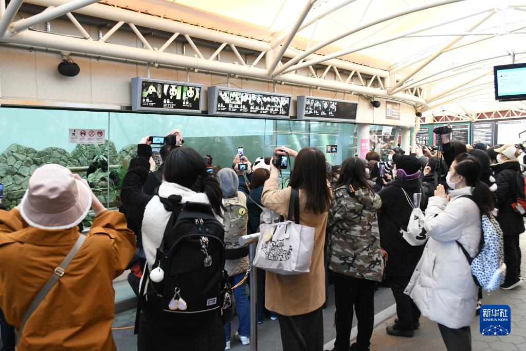 和歌山県白浜町の「アドベンチャーワールド」で、パンダの「永明」を観覧する來園客（2月21日撮影?岳晨星）。