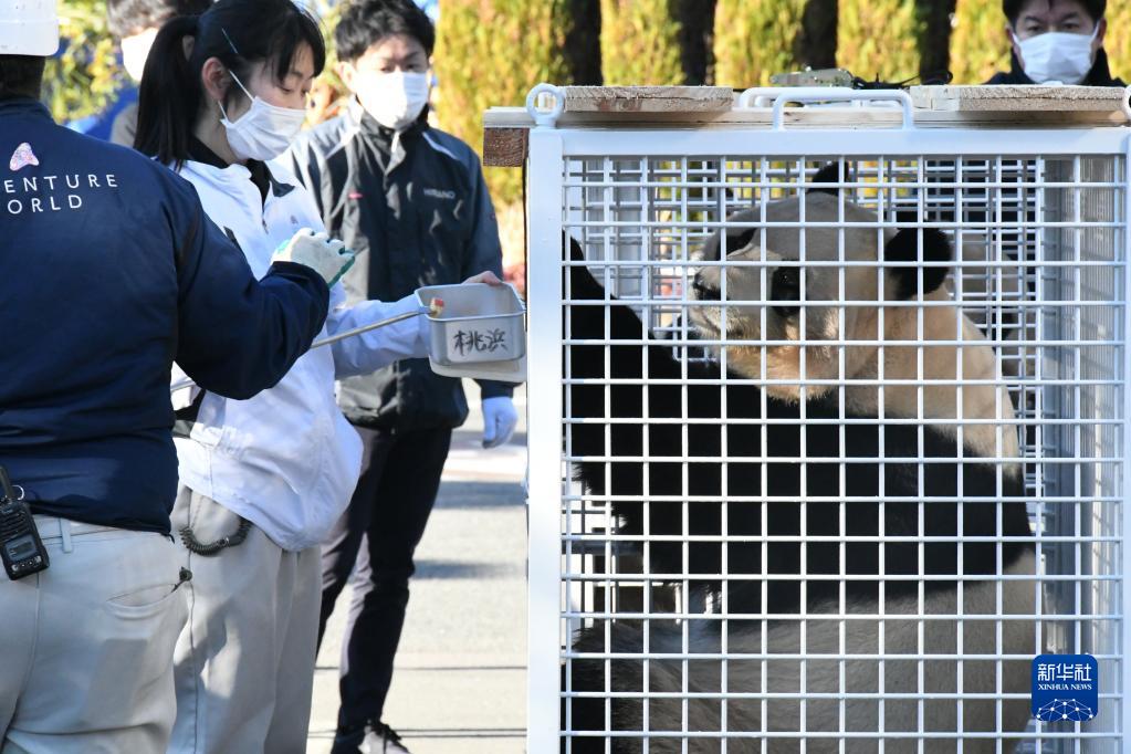 中國に返還される3頭のパンダとの別れを惜しむ日本のファン