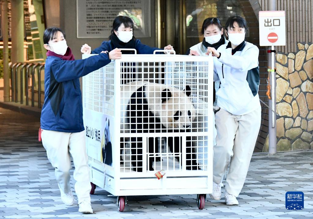 中國に返還される3頭のパンダとの別れを惜しむ日本のファン